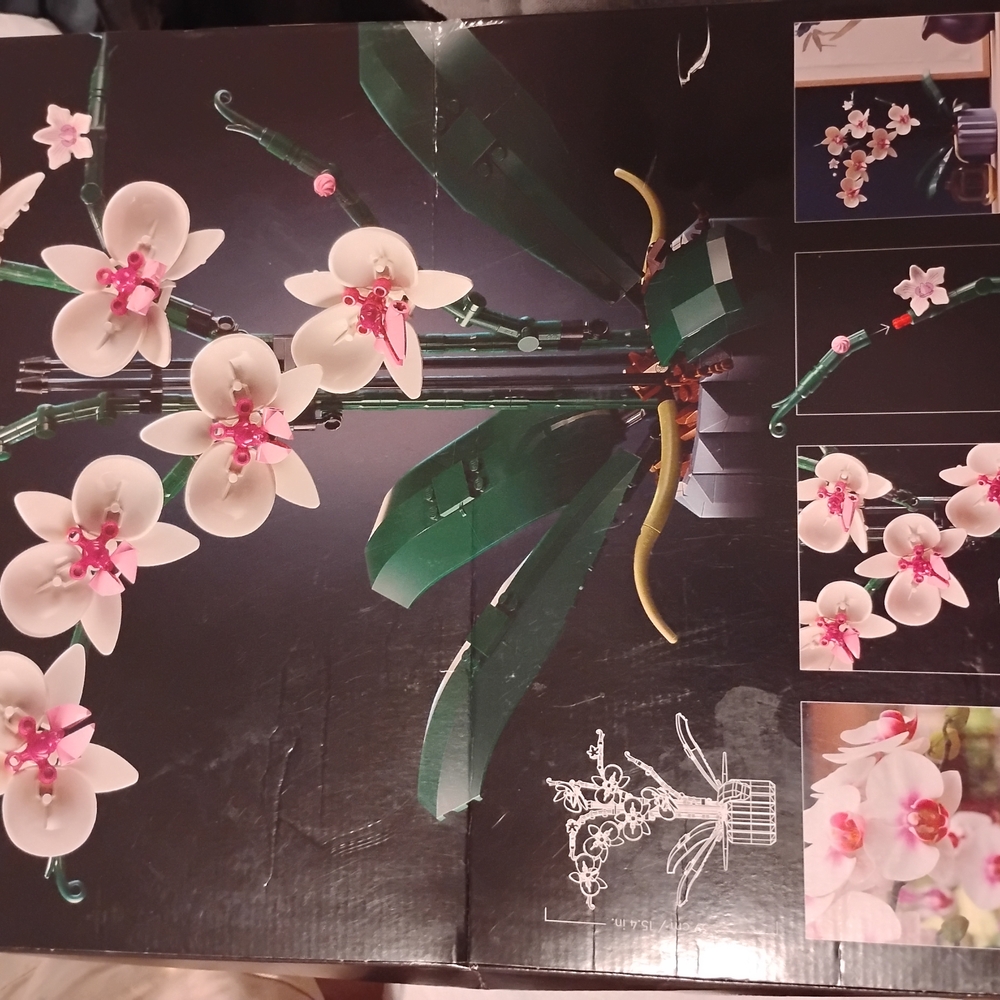 Orchid Flower Building Set with White and Pink Blooms